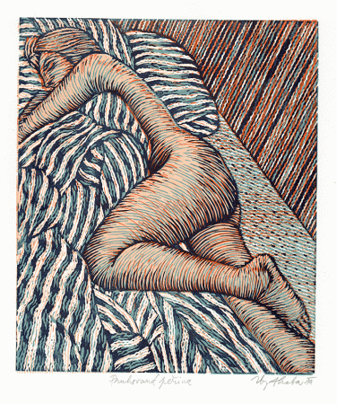 Pruhovaná peřina /2019/ 20x17 cm
