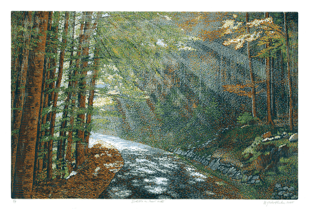 Světlo na lesní cestě /42 x 64 cm/ 2025